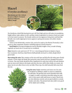 A Guide to Wild Food Foraging
