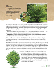 A Guide to Wild Food Foraging