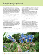 Complete Guide to Growing and Cultivating Herbs and Spices