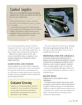 Load image into Gallery viewer, Complete Guide to Growing and Cultivating Herbs and Spices
