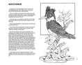 Load image into Gallery viewer, Realism in Wood #2 Birds & Animals
