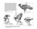 Load image into Gallery viewer, Realism in Wood #2 Birds & Animals
