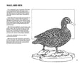 Load image into Gallery viewer, Realism in Wood #2 Birds & Animals
