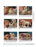 Load image into Gallery viewer, Carving Wolves, Foxes & Coyotes
