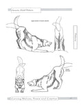 Load image into Gallery viewer, Carving Wolves, Foxes & Coyotes
