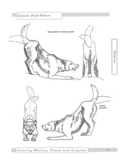 Carving Wolves, Foxes & Coyotes