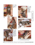 Load image into Gallery viewer, Carving Wolves, Foxes & Coyotes
