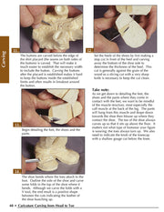 Caricature Carving from Head to Toe