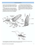 Load image into Gallery viewer, Carving North American Hummingbirds & Their Habitat
