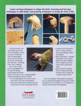 Load image into Gallery viewer, Carving North American Hummingbirds & Their Habitat
