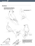 Load image into Gallery viewer, Carving Award-Winning Songbirds
