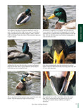 Load image into Gallery viewer, Duck Decoys: Classic Carving Projects Made Easy
