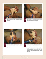 Duck Decoys: Classic Carving Projects Made Easy