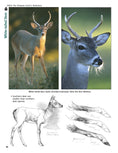 Load image into Gallery viewer, Deer: The Ultimate Artist's Reference
