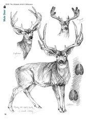 Deer: The Ultimate Artist's Reference