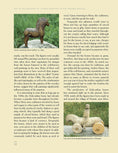 Load image into Gallery viewer, Art & Technique of Scandinavian-Style Woodcarving
