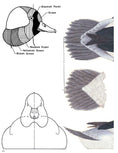 Load image into Gallery viewer, Decorative Decoy Carvers Ultimate Painting & Pattern Portfolio, Series Two
