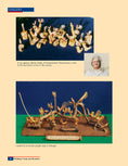 Load image into Gallery viewer, Whittling Twigs & Branches - 2nd Edition
