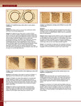 Load image into Gallery viewer, Pyrography Workbook
