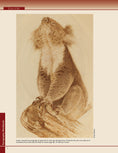 Load image into Gallery viewer, Pyrography Workbook
