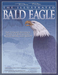 Load image into Gallery viewer, Illustrated Bald Eagle

