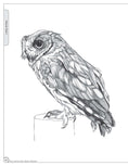 Load image into Gallery viewer, Illustrated Owl: Screech & Snowy
