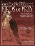Load image into Gallery viewer, Illustrated Birds of Prey: Red-Tailed Hawk, American Kestral, & Peregrine Falcon
