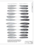 Load image into Gallery viewer, Illustrated Birds of Prey: Red-Tailed Hawk, American Kestral, & Peregrine Falcon
