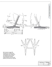 Illustrated Birds of Prey: Red-Tailed Hawk, American Kestral, & Peregrine Falcon