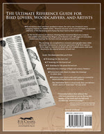 Illustrated Owl: Barn, Barred & Great Horned