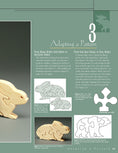 Load image into Gallery viewer, Animal Puzzles for the Scroll Saw, Second Edition
