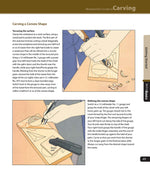 Woodworker's Guide to Carving (Back to Basics)