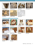 Load image into Gallery viewer, Wildlife Projects

