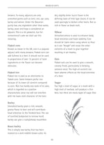 Home Brewing