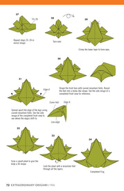 Extraordinary Origami