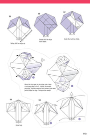 Extraordinary Origami