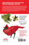 Load image into Gallery viewer, Extraordinary Origami
