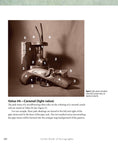 Load image into Gallery viewer, Little Book of Pyrography
