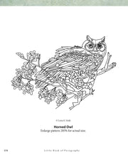 Little Book of Pyrography