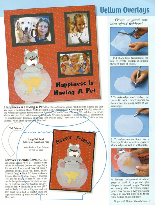 Magic with Vellum: Translucents