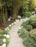 Load image into Gallery viewer, Ultimate Guide to Walks, Patios & Walls, Updated 2nd Edition
