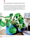 Load image into Gallery viewer, Beginner's Houseplant Garden
