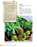 Load image into Gallery viewer, Beginner's Houseplant Garden
