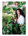 Load image into Gallery viewer, Beginner's Houseplant Garden
