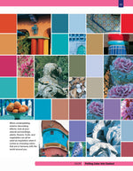 Outdoor Paint Techniques and Faux Finishes, Revised Edition