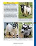 Load image into Gallery viewer, Backyard Homesteading, Second Revised Edition
