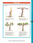 Load image into Gallery viewer, Backyard Homesteading, Second Revised Edition
