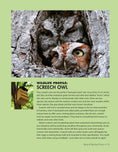 Load image into Gallery viewer, National Wildlife Federation®: Attracting Birds, Butterflies, and Other Backyard Wildlife, Expanded Second Edition
