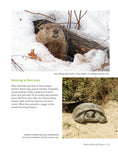 Load image into Gallery viewer, National Wildlife Federation®: Attracting Birds, Butterflies, and Other Backyard Wildlife, Expanded Second Edition
