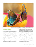 Load image into Gallery viewer, National Wildlife Federation®: Attracting Birds, Butterflies, and Other Backyard Wildlife, Expanded Second Edition
